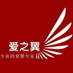 大连产后康复培训指南 课程、选择与机构推荐